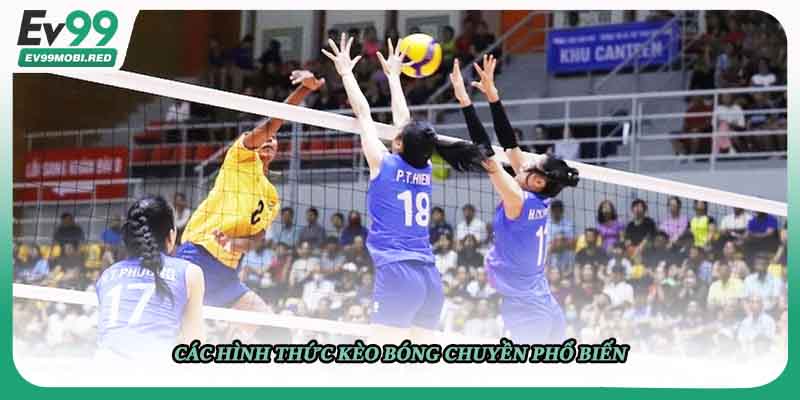 Các hình thức kèo bóng chuyền phổ biến