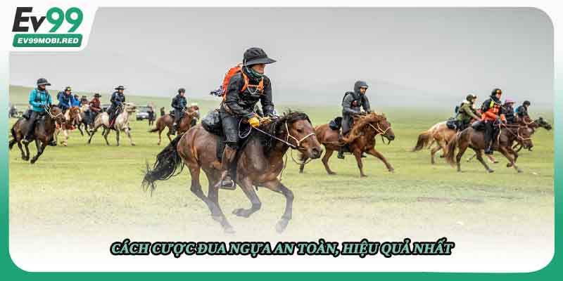 Cách cược đua ngựa an toàn, hiệu quả nhất 