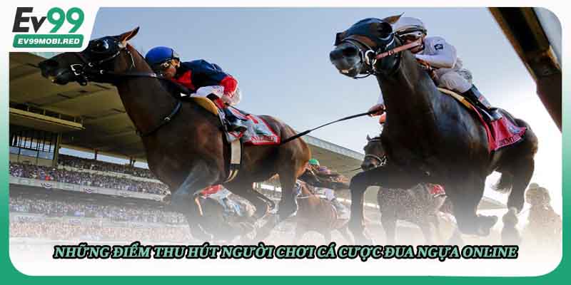 Những điểm thu hút người chơi cá cược đua ngựa online